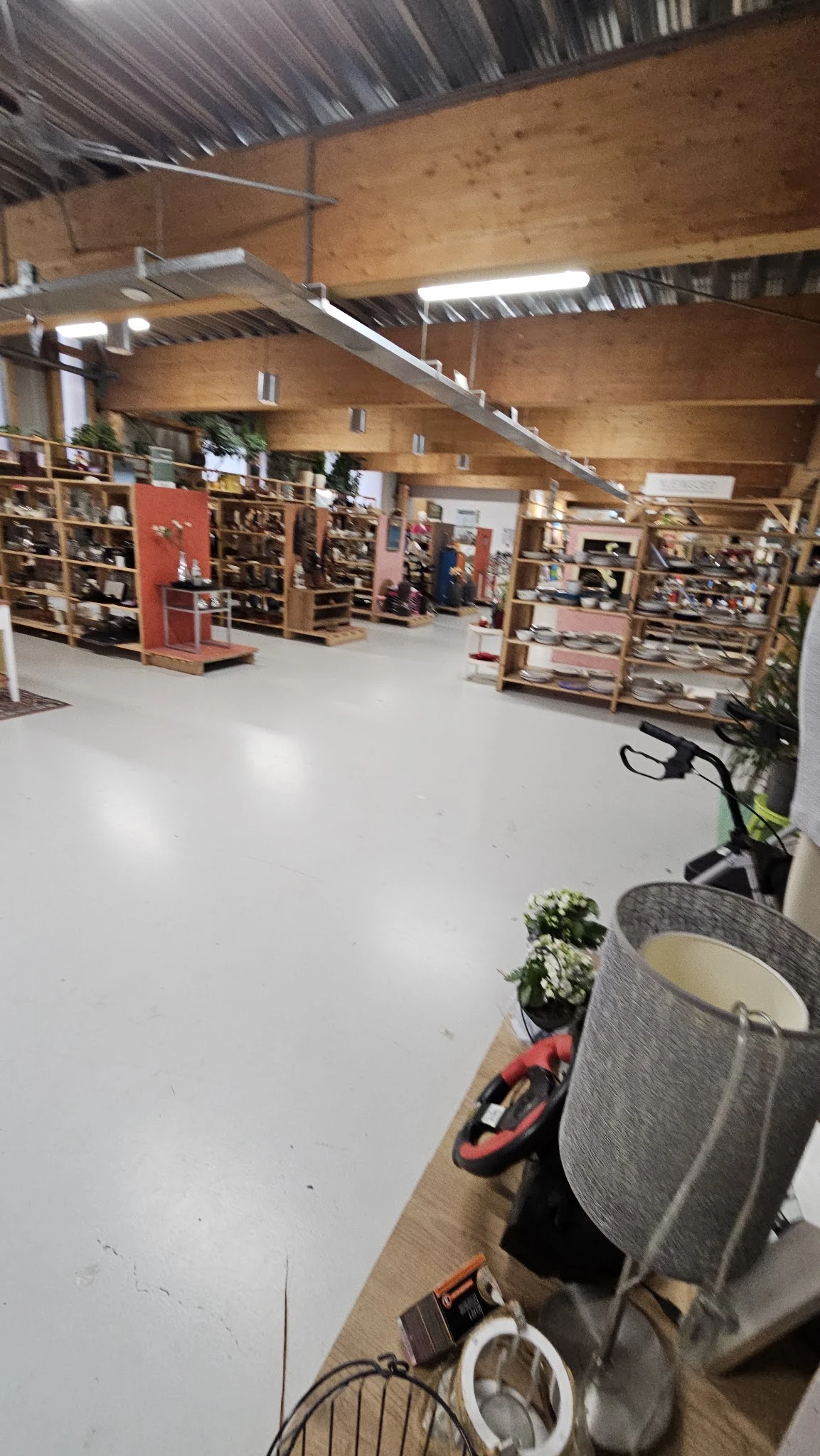 Winkelvloer van kringloopwinkel met stellingen en display-kasten in de achtergrond, voorgrond met plantenpot en elektrische f