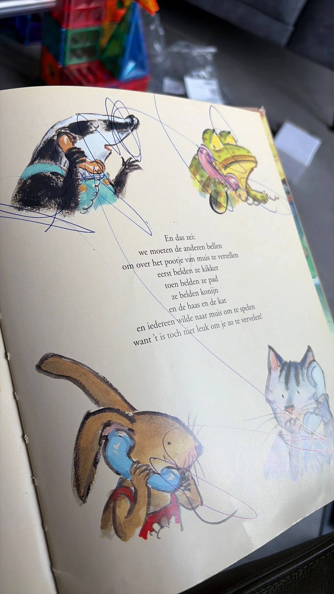 Opengeslagen kinderboek met Nederlandse tekst en kleurige illustraties van katten