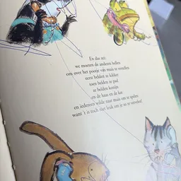 Opengeslagen kinderboek met Nederlandse tekst en kleurige illustraties van katten