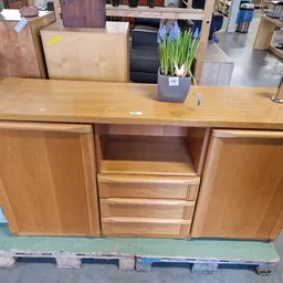 Houten dressoir met twee deuren en centrale lades, afgewerkt met een potplant en decoratie op het blad