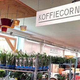 Koffiehoek met naam 'Koffiecorner' boven aan de wand, met blauwe plantenbakken en hangende lampen