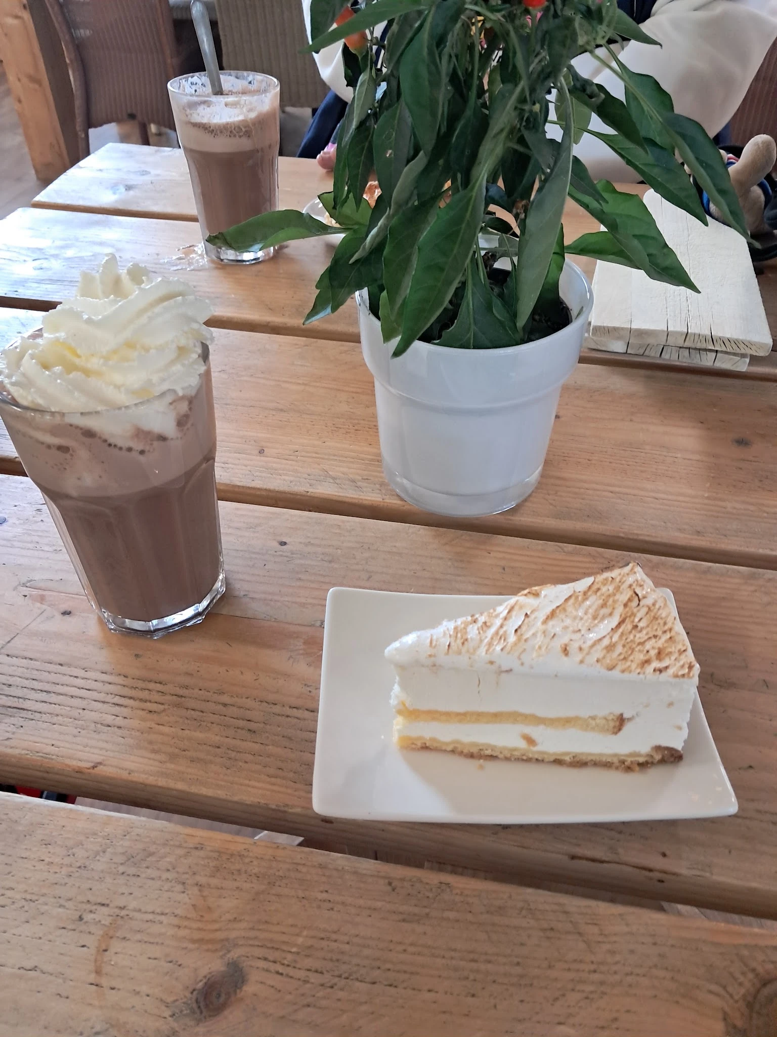 Tafel met een stuk cake met slagroom, een glas chocolademelk met slagroom, een potplant en notitieboekje