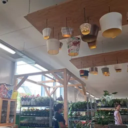 Interieur van winkel met houten balken, hangende design-lampen en uitzicht op planten en winkelruimte
