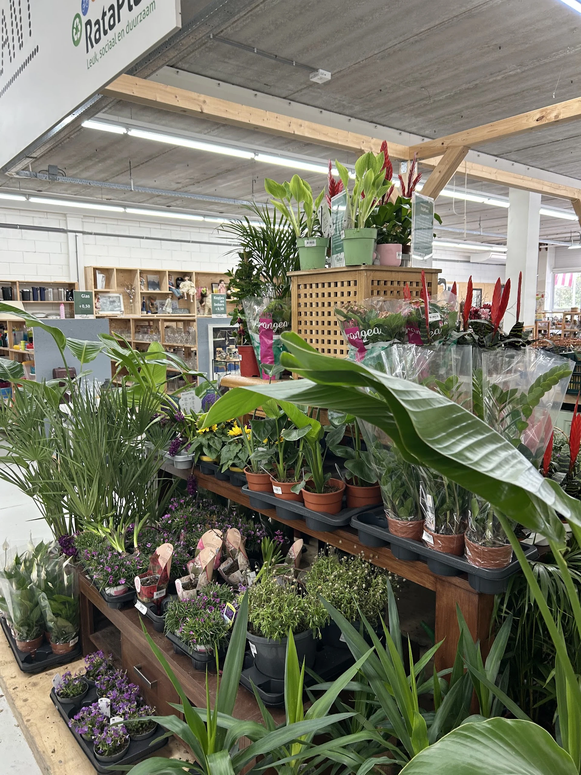 Bezoeker foto van Kringloopwinkel RataPlan Apeldoorn in Apeldoorn
