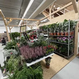 Plantenrekken met diverse potplanten, bloemen en groensoorten in een kringloopwinkel