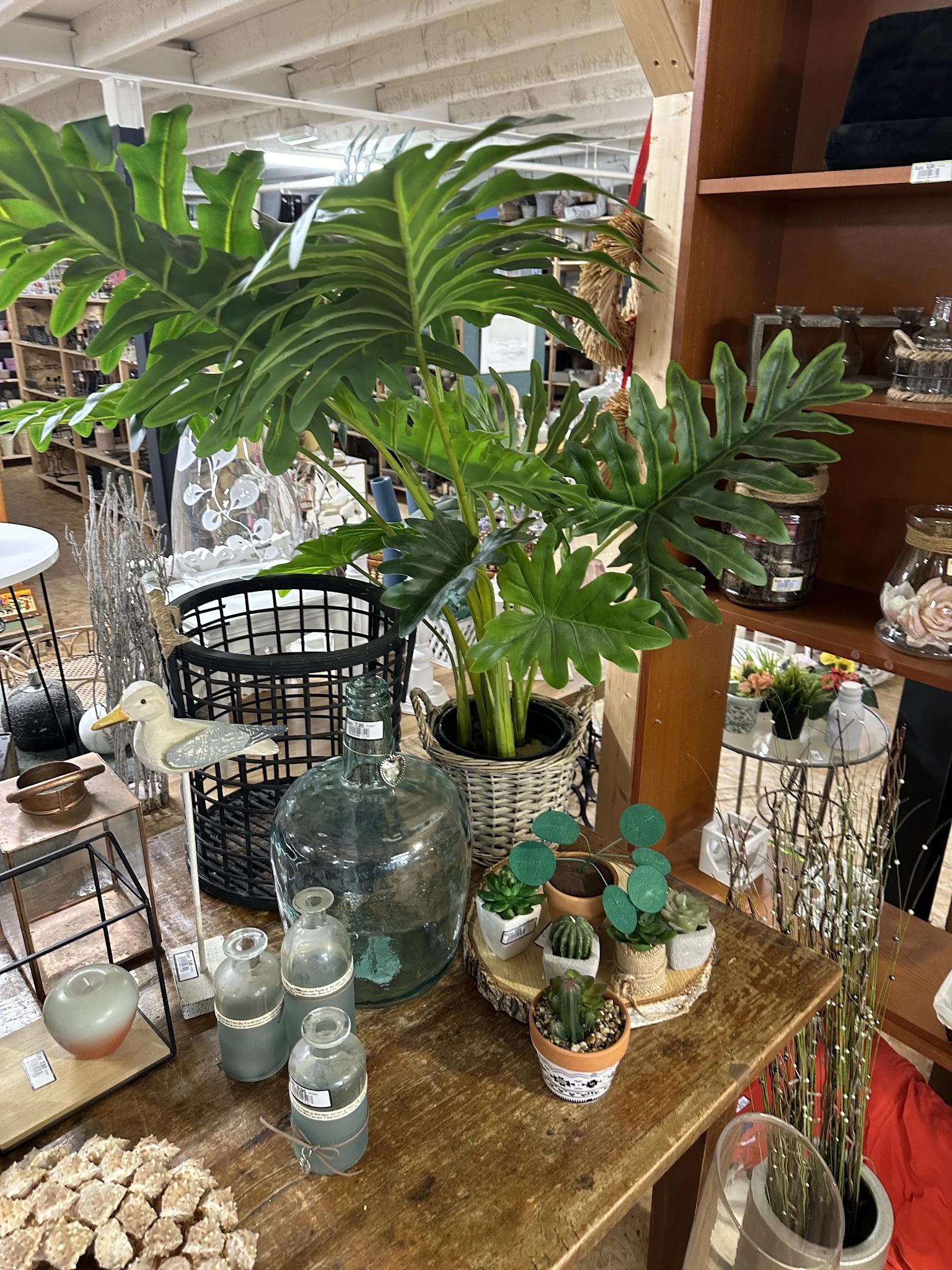 Diverse potplanten en plantenpotten op een tafel in de winkel, waaronder palmplanten en vetplanten