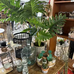 Diverse potplanten en plantenpotten op een tafel in de winkel, waaronder palmplanten en vetplanten
