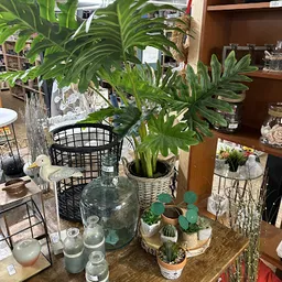 Bezoeker foto van Kringloopwinkel RataPlan Berkel en Rodenrijs in Berkel en Rodenrijs