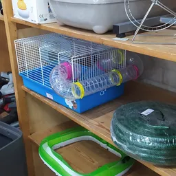 Kleine knaagdierkooi met roze en gele accessoires op een houten plank in een winkelrek