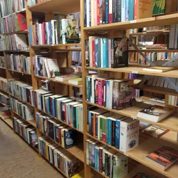 Houten boekenkasten gevuld met tweedehands boeken in verschillende genres en kleuren