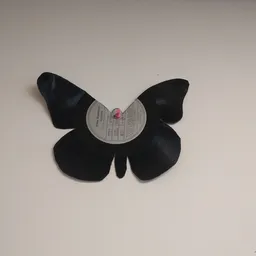 Zwarte vinylplaat gevormd als vlinder met labelzijde zichtbaar