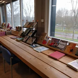 Houten toonbank met uitgestalde boeken en voorwerpen voor verkoop, grote ramen met uitzicht op park