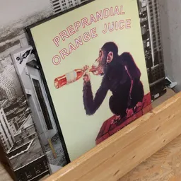 Bezoeker foto van Kringloopwinkel RataPlan Den Helder in Den Helder