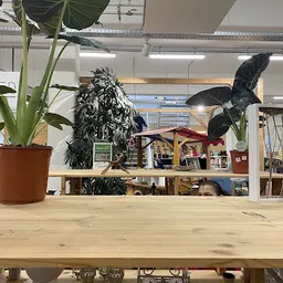 Bezoeker foto van Kringloopwinkel RataPlan Diemen in Diemen