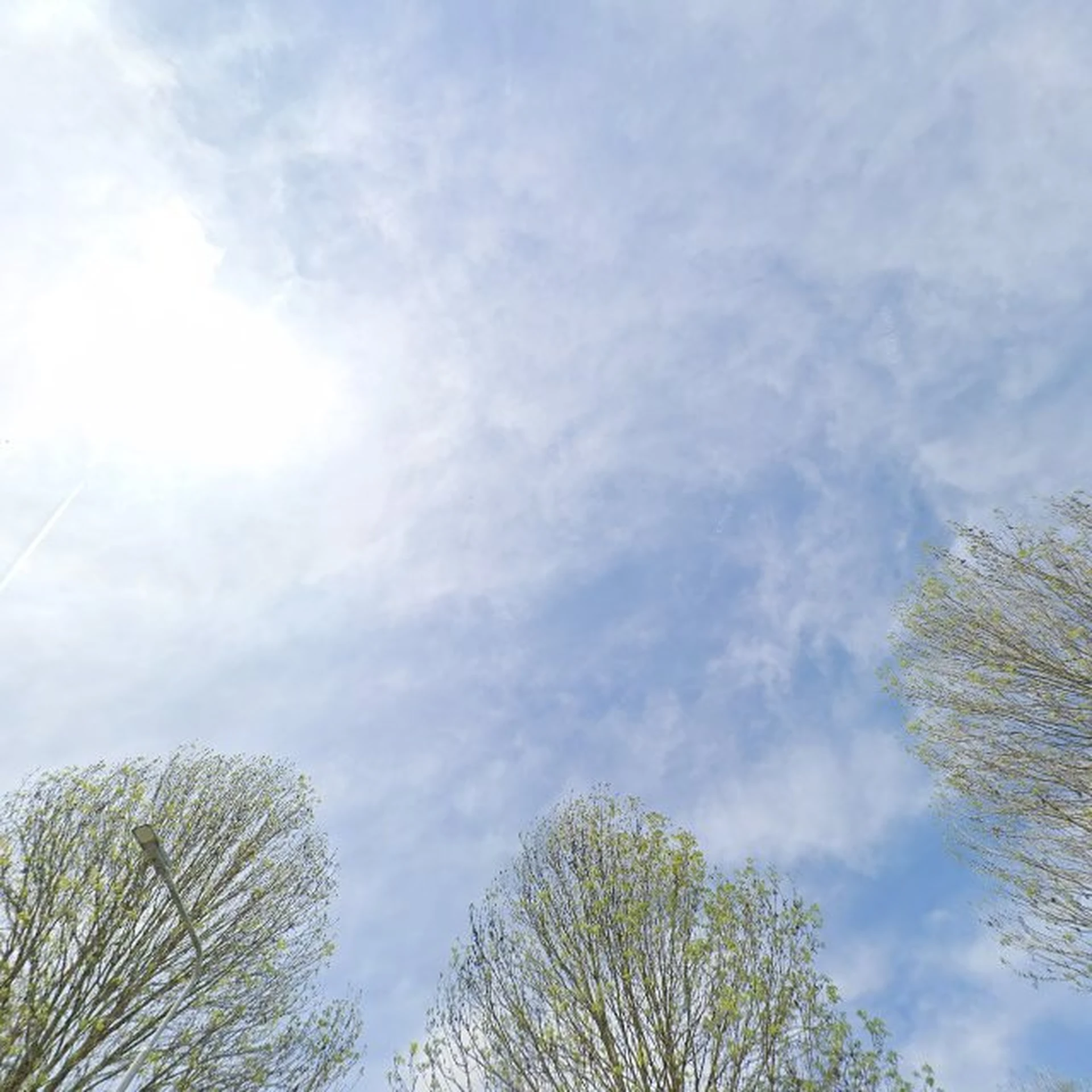 Kringloopwinkel Kringloopwinkel RataPlan Dronten in Dronten