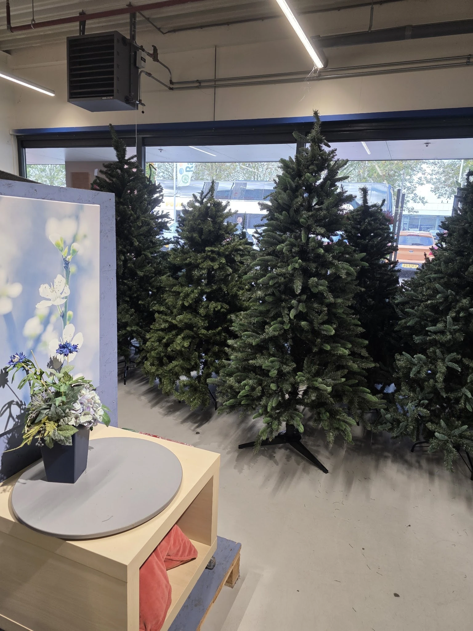 Winkelbinnenruimte met kunstmatige kerstbomen en decoratieve displaypanelen, brede ramen met uitzicht op straat