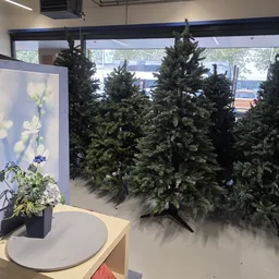 Winkelbinnenruimte met kunstmatige kerstbomen en decoratieve displaypanelen, brede ramen met uitzicht op straat