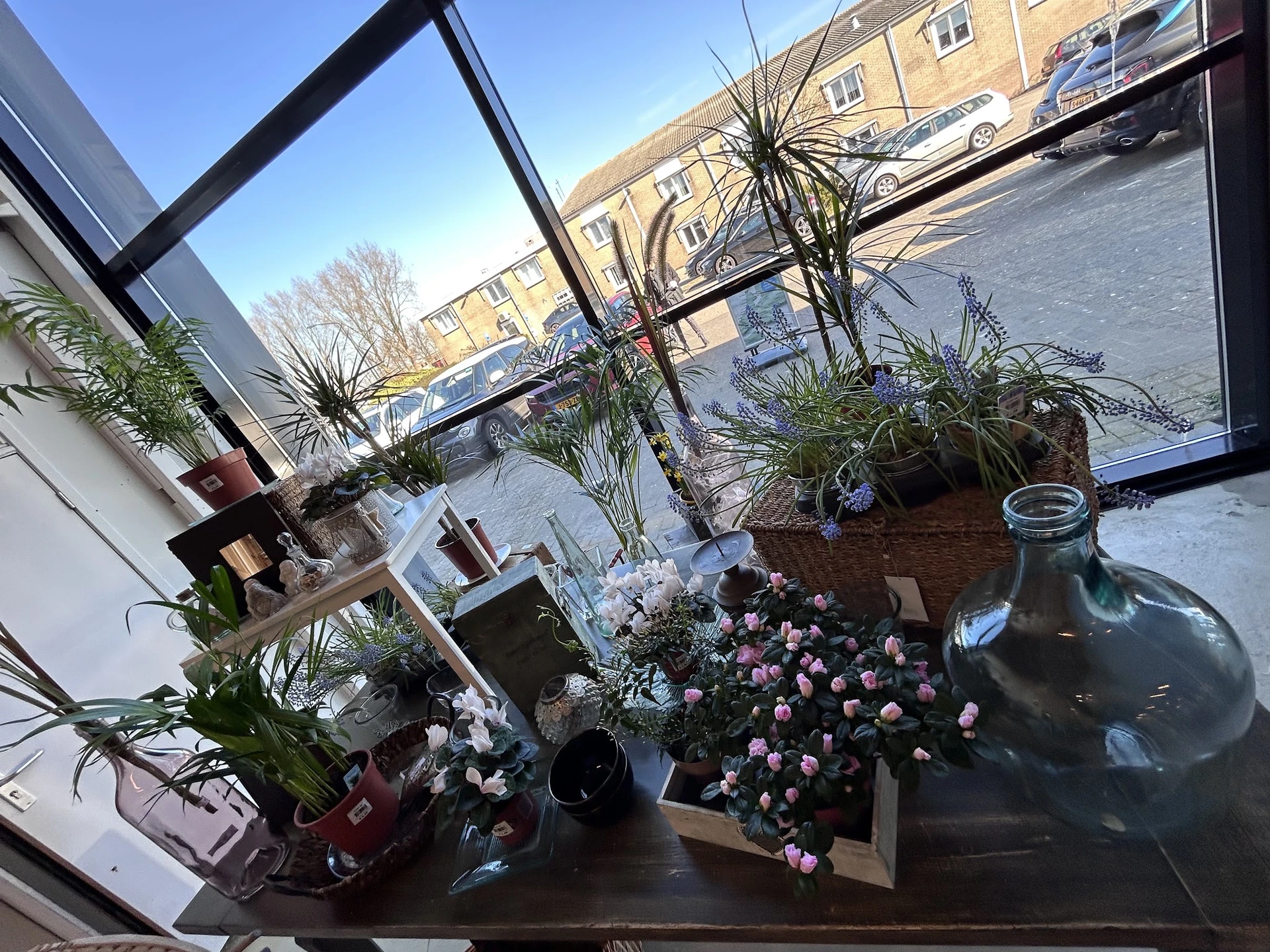 Raam met plantenpotjes, bloemen in vazen en decoratieve items op de vensterbank