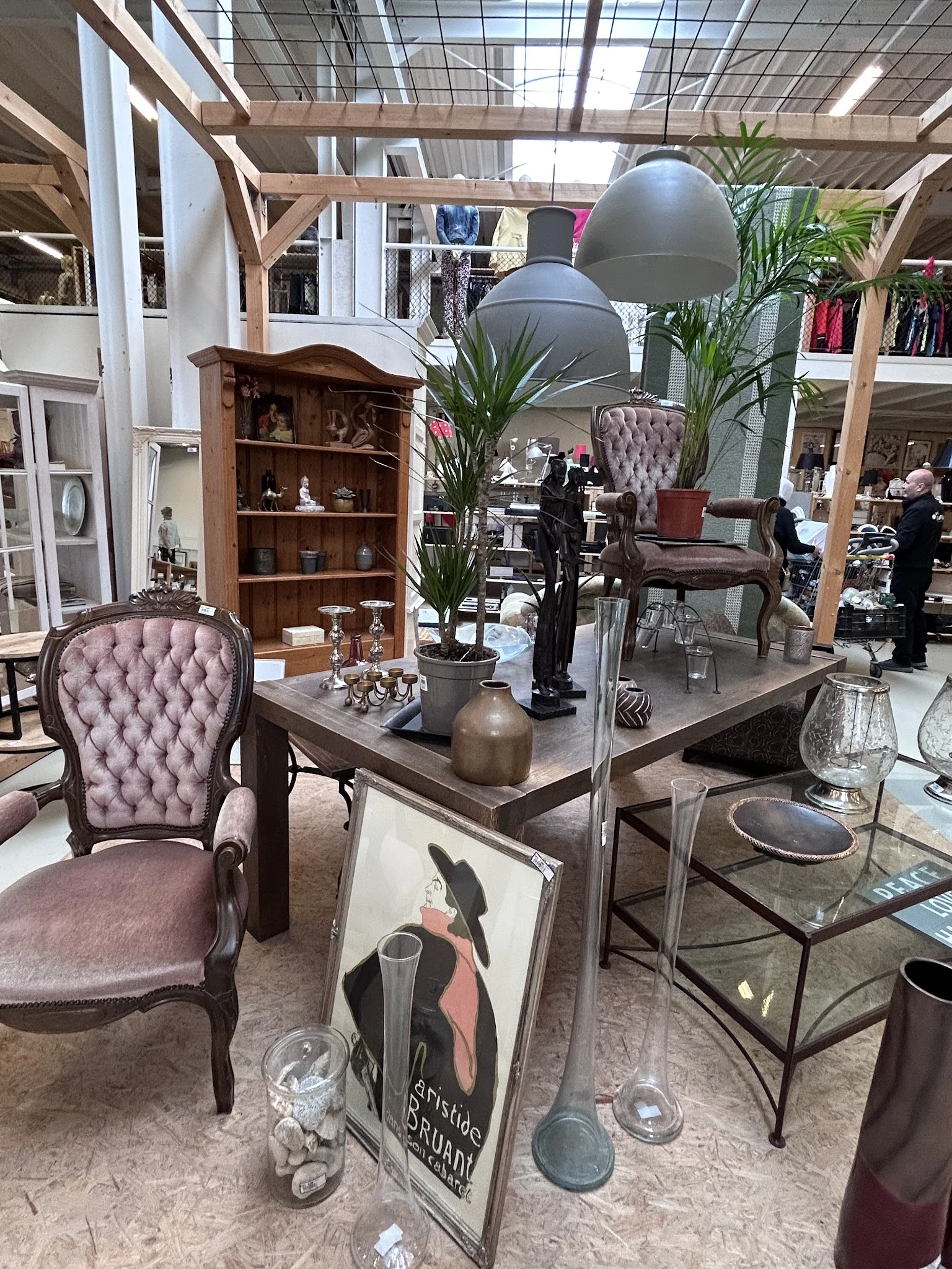 Interieur van kringloopwinkel met meubels, plantenstekels, houten kast, paarse stoelen en decoratie