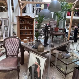 Interieur van kringloopwinkel met meubels, plantenstekels, houten kast, paarse stoelen en decoratie