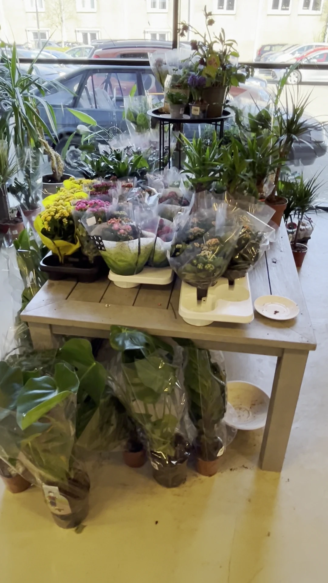 Tafel met uitgestalde bloemen en planten onder transparante beschermhoezen