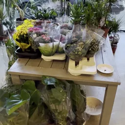 Tafel met uitgestalde bloemen en planten onder transparante beschermhoezen