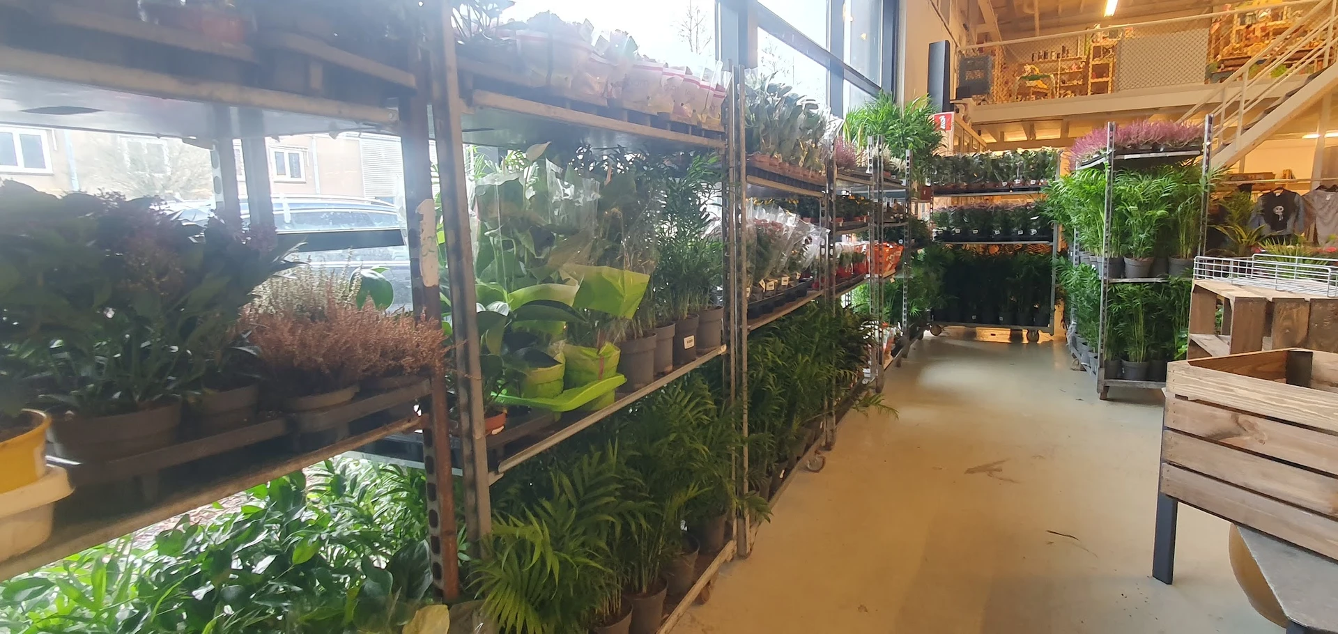 Winkelinterieur met plantenrekken langs de wand vol met groene planten en bloemen