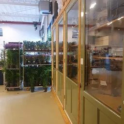 Winkelbinnenruimte met glazen deuren en plantjes op display tegen de linkermuur