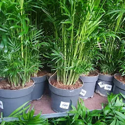 Bezoeker foto van Kringloopwinkel RataPlan Heerhugowaard in Heerhugowaard