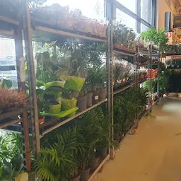 Bezoeker foto van Kringloopwinkel RataPlan Heerhugowaard in Heerhugowaard