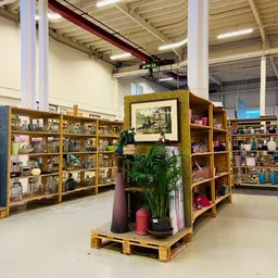 Ruim interieur van kringloopwinkel met houten stellingen vol spullen, planten en decoratie