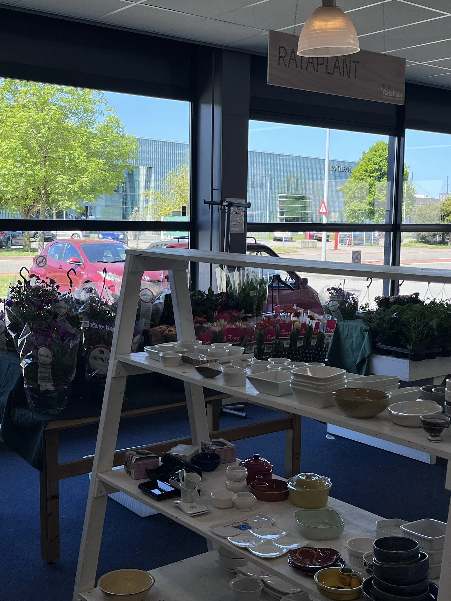 Binnenaanzicht van kringloopwinkel met stellingen, bloemen en servies op tafel bij raam