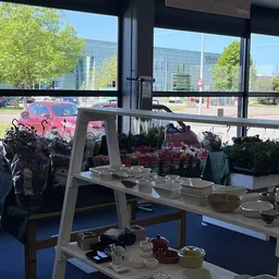 Binnenaanzicht van kringloopwinkel met stellingen, bloemen en servies op tafel bij raam