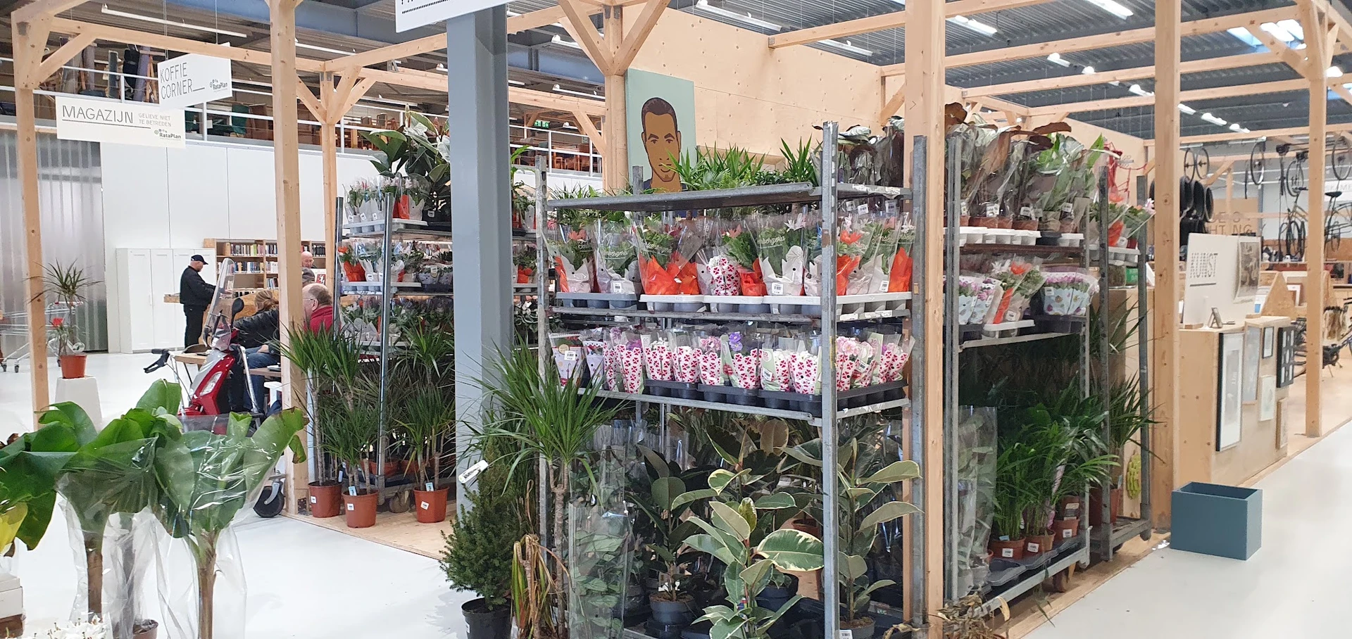 Glazen vitrinekast met uitgestalde snijbloemen en potplanten in verschillende kleuren