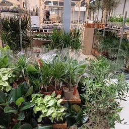 Bezoeker foto van Kringloopwinkel RataPlan Hoorn in Zwaag