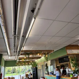 Winkelinterieur met groen geschilderde wanden, plafond met tl-verlichting en decoratieve groene guirlandes met lampjes