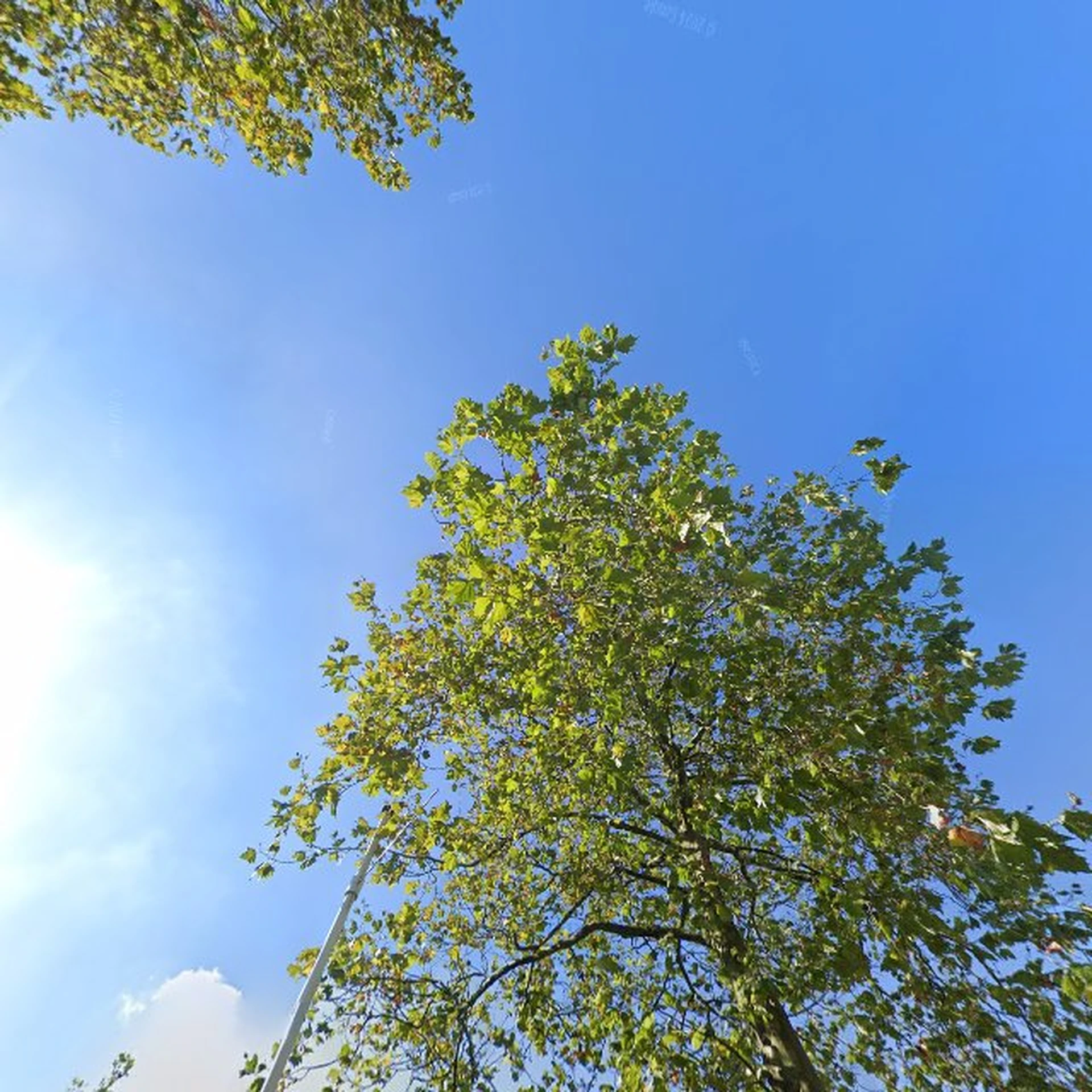 Kringloopwinkel Kringloopwinkel RataPlan Maassluis in Maassluis