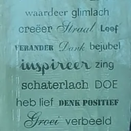 Tekstafbeelding met Nederlandse woorden in verschillende lettertypen en stijlen