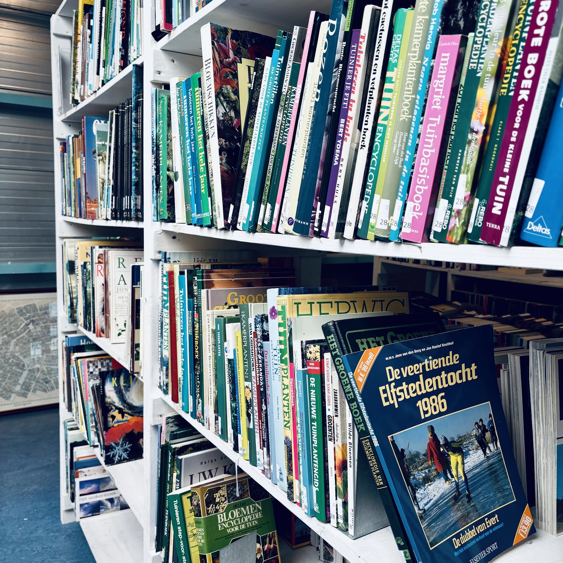 Witte wandrekken met dvd's, blu-rays en boeken netjes uitgestald in een kringloopwinkel
