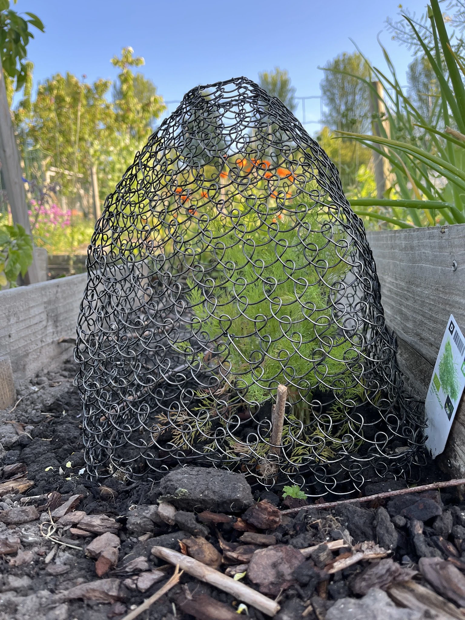 Zwart mesh-afdeknet over plantengroe in tuinbak