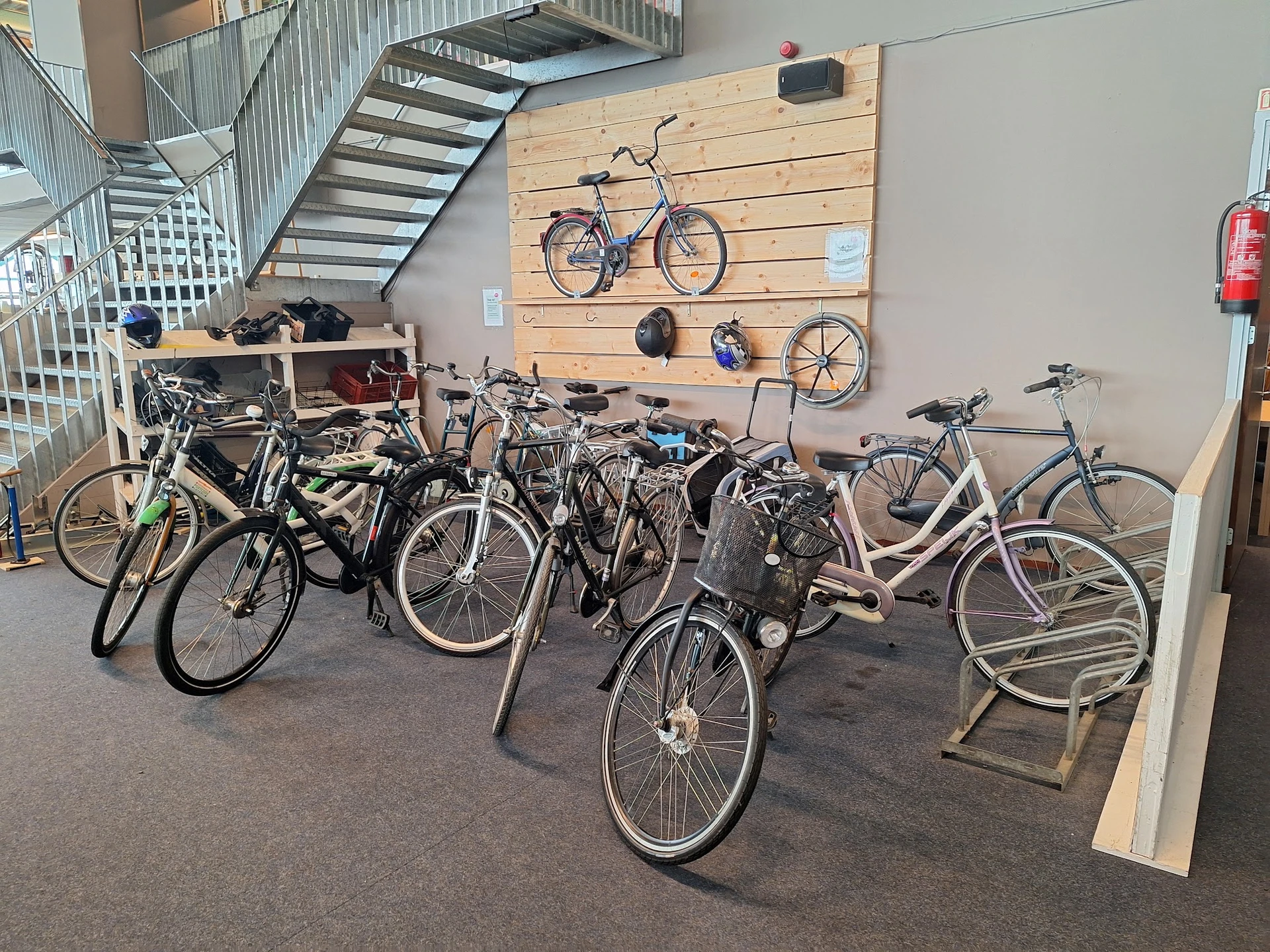 Verzameling tweedehandsefietsen en fietsen op standaards in de winkel, waarvan enkele ook aan de houten wand hangen.