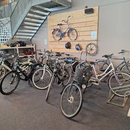Verzameling tweedehandsefietsen en fietsen op standaards in de winkel, waarvan enkele ook aan de houten wand hangen.