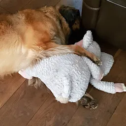 Bezoeker foto van Kringloopwinkel RataPlan Purmerend in Purmerend