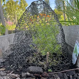 Bezoeker foto van Kringloopwinkel RataPlan Purmerend in Purmerend