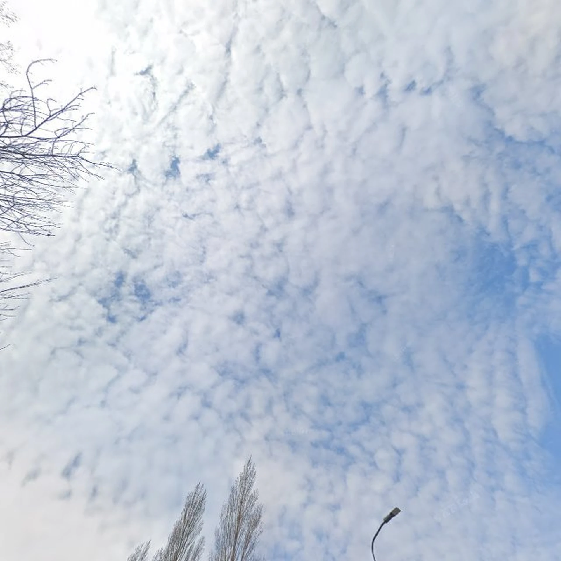 Kringloopwinkel Kringloopwinkel RataPlan Rijswijk in Rijswijk