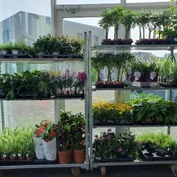 Bezoeker foto van Kringloopwinkel RataPlan Schagen in Schagen