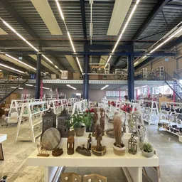 Kringloopwinkel met houten kunstobjecten, plantenbakken en schilderijen op ezel-tentoonstellingen op de vloer, stellingen met