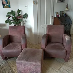 Twee roze/mauve fluweelachtige fauteuils met voetenbankje en een plant op de achtergrond