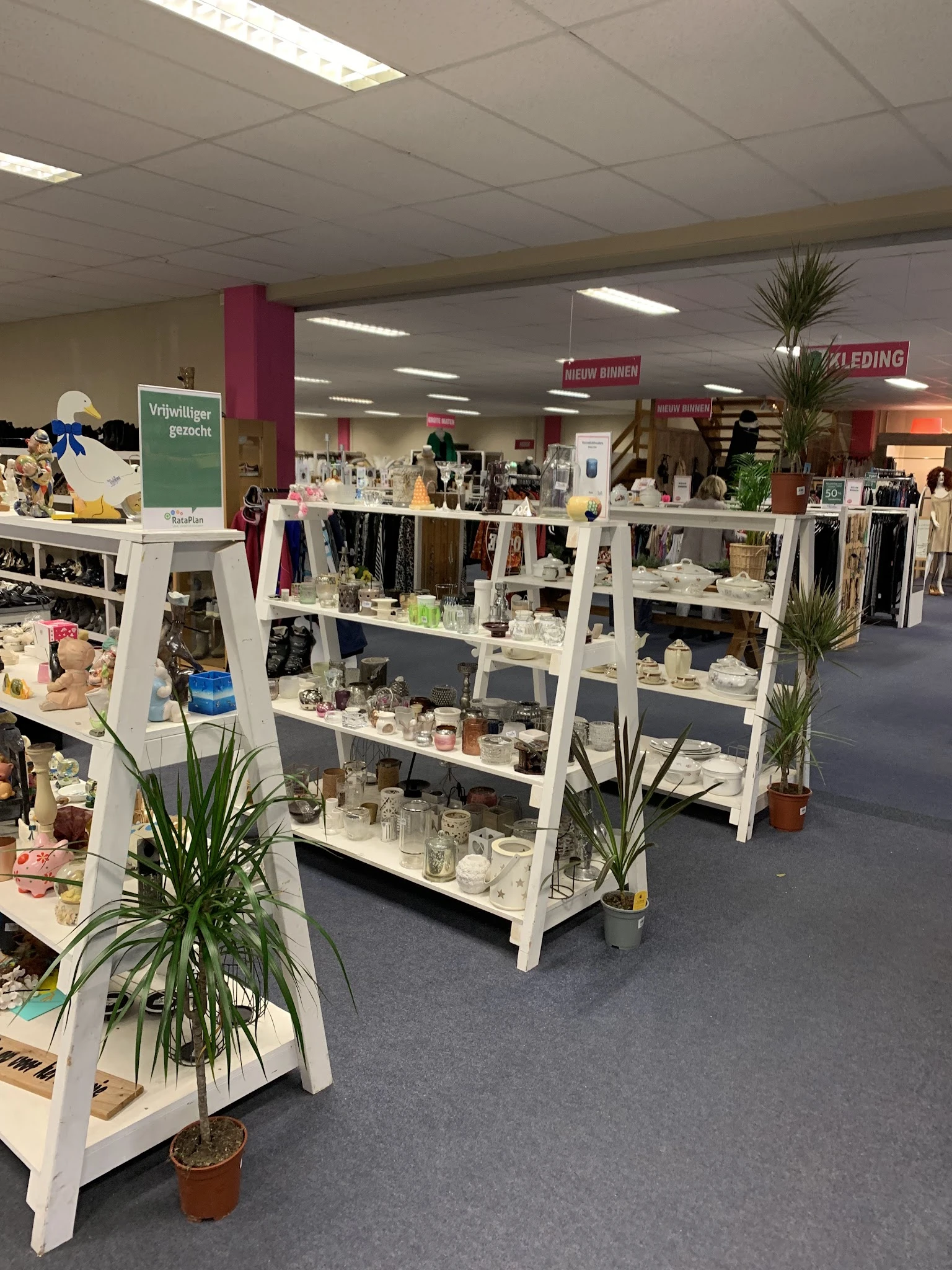 Winkelvloer met witte stellingen vol kleine huishoudartikelen, decoraties en accessoires; groen plantje en verlichting zichtb