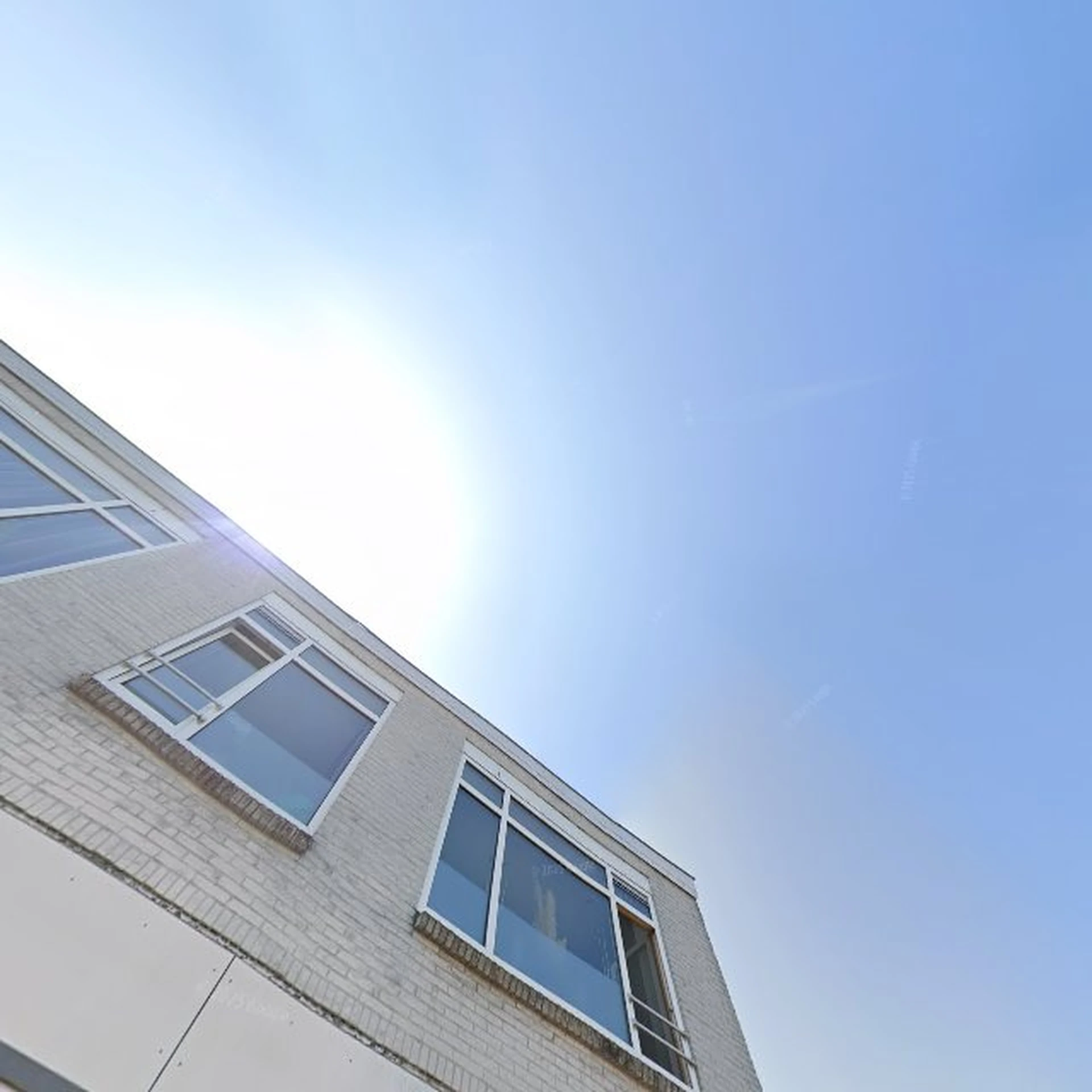 Kringloopwinkel Kringloopwinkel Rebuy It in Dieren